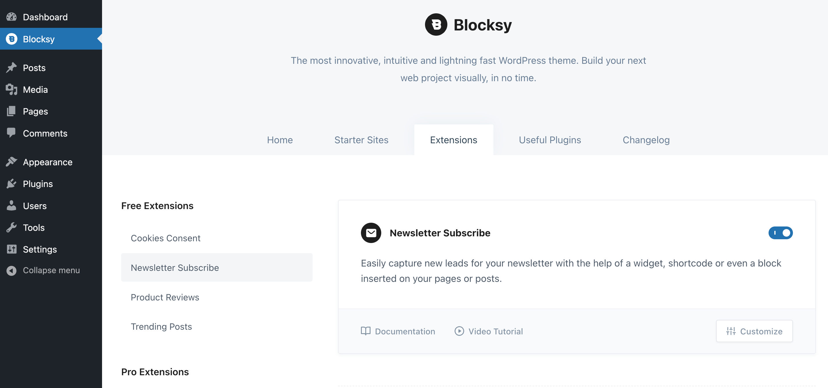 Enabling the Blocksy Newsletter Subscribe extension