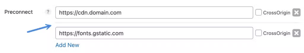 perfmatters add preconnect urls wordpress