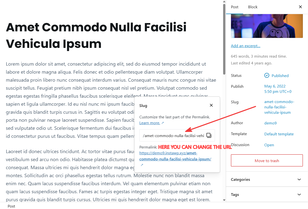 edit url in wordpress post