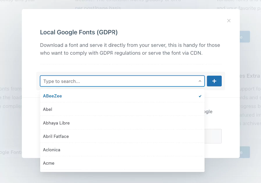 import Google Fonts