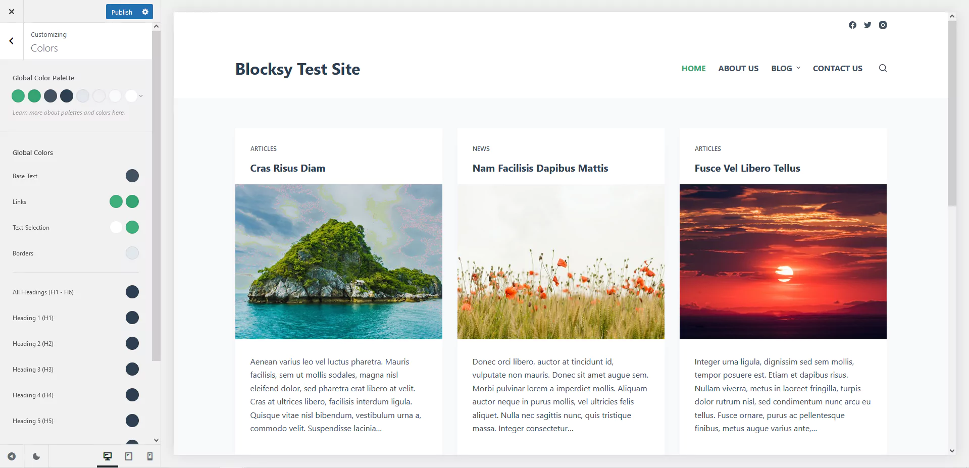 Blocksy's accessible color options in the WordPress Customizer, screenshot